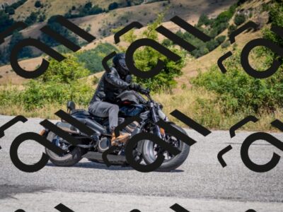 202507271226-DSC_2070_c2