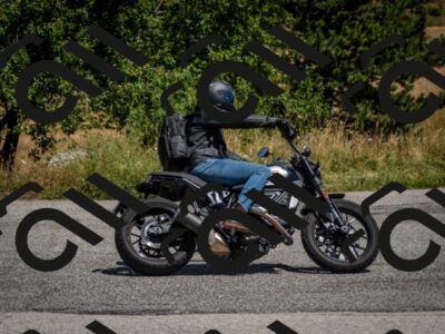 202507271238-DSC_2172_c2