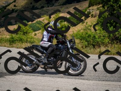 202507271239-DSC_2196_c2