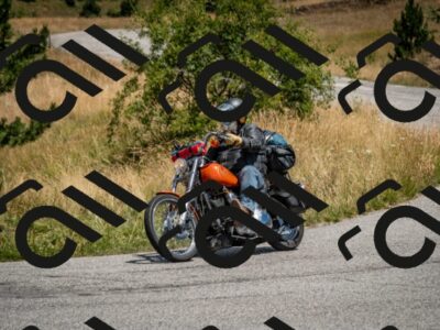 202507271244-DSC_2239_c2