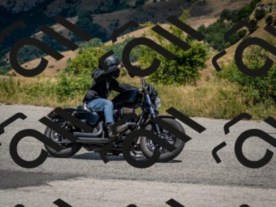 202507271246-DSC_2279_c2