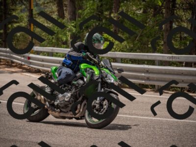 20250727120242-_5003156_am_