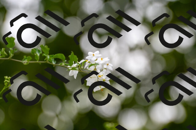 20250726102128-R01_4919_r1