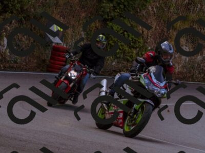 202507271042-_DSC5435_d1_