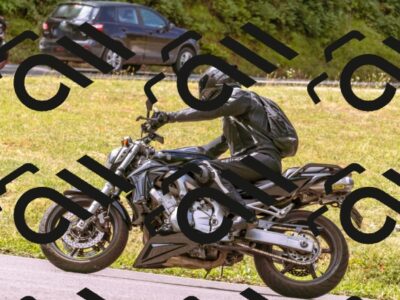 202507271123-_DSC5656_d1_