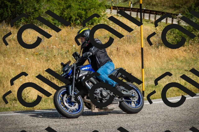 202507271001-DSC08531_c1_