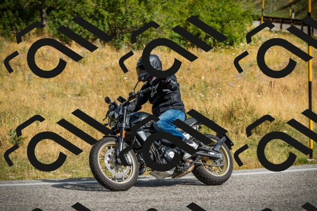 202507271001-DSC08536_c1_