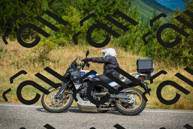 202507271005-DSC08604_c1_