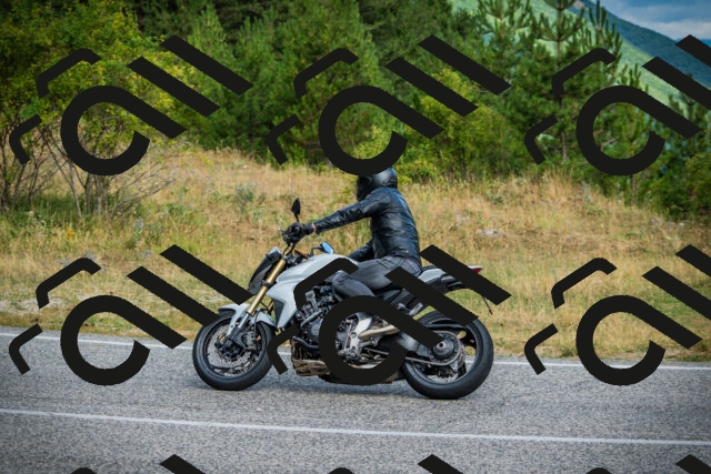 202507271008-DSC08656_c1_