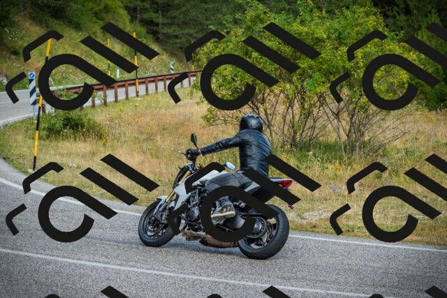 202507271008-DSC08657_c1_