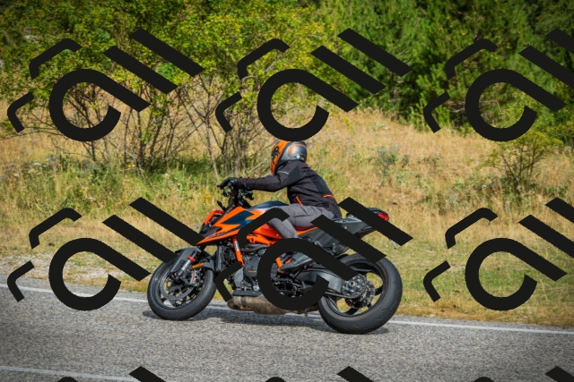 202507271009-DSC08666_c1_