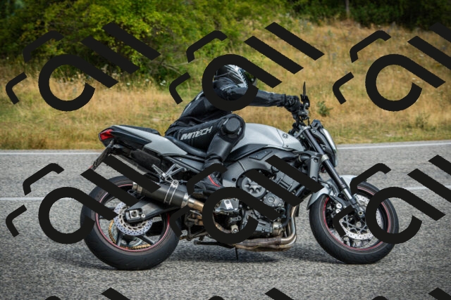 202507271017-DSC08731_c1_