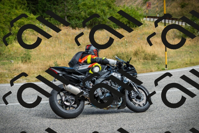 202507271017-DSC08733_c1_