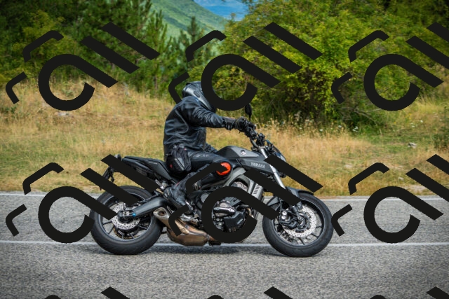 202507271018-DSC08742_c1_