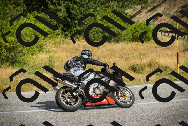 202507271020-DSC08786_c1_