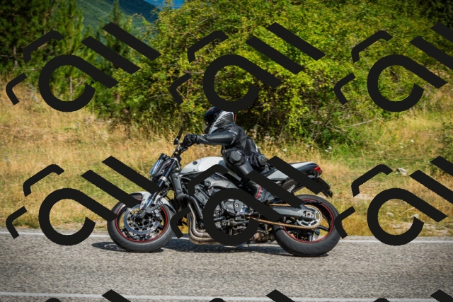 202507271021-DSC08795_c1_