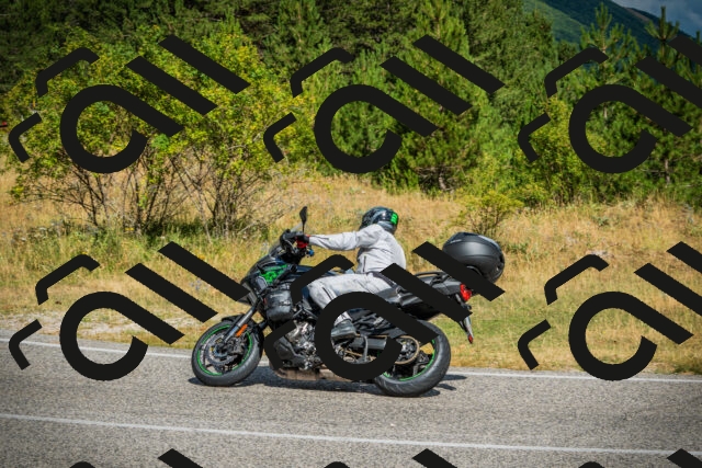 202507271023-DSC08819_c1_