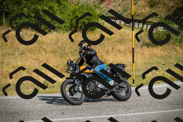 202507271028-DSC08895_c1_