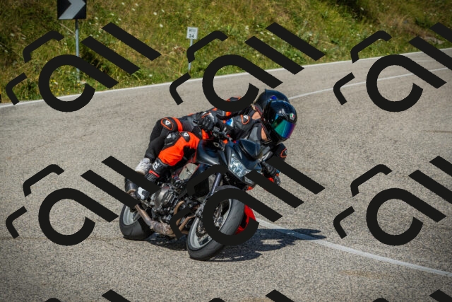 202507271030-DSC08919_c1_