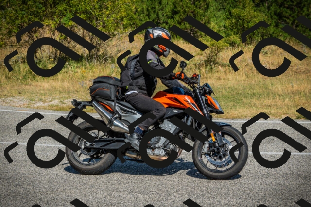 202507271031-DSC08937_c1_