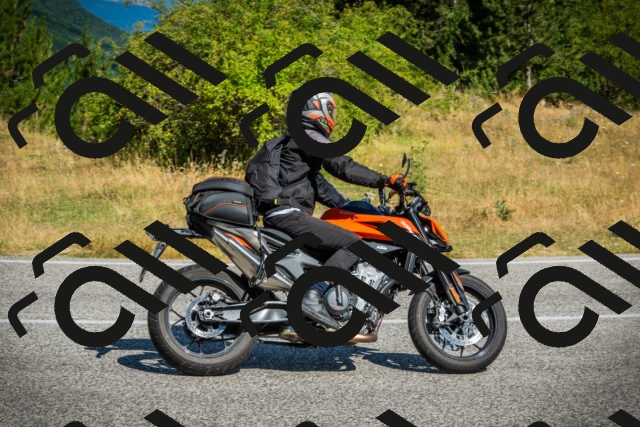 202507271031-DSC08938_c1_