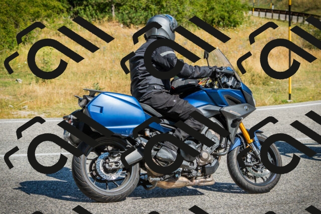 202507271031-DSC08939_c1_