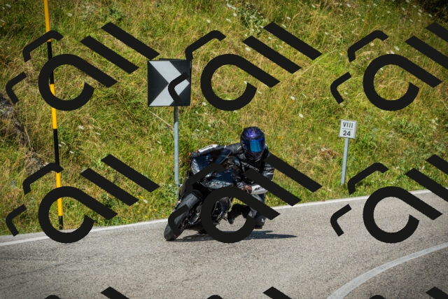 202507271034-DSC08954_c1_