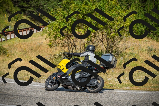 202507271035-DSC09000_c1_