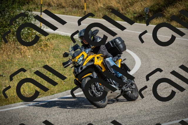 202507271037-DSC09030_c1_