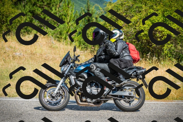 202507271039-DSC09041_c1_