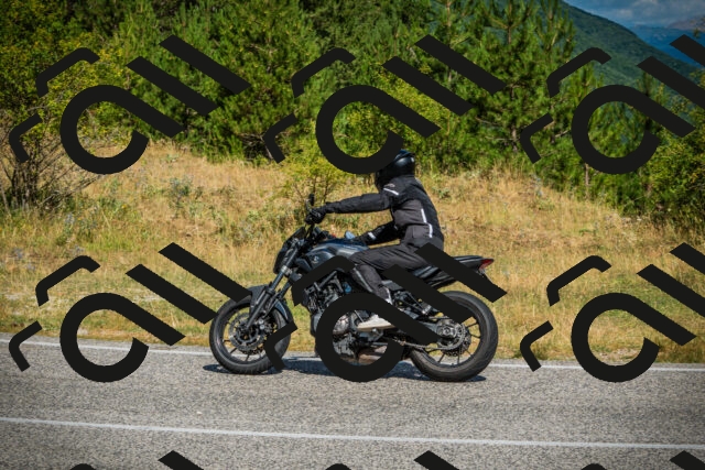 202507271039-DSC09051_c1_