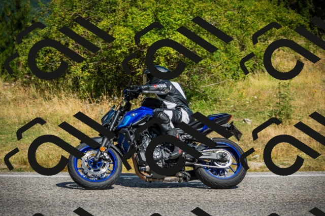 202507271039-DSC09054_c1_