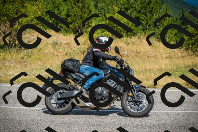 202507271039-DSC09058_c1_