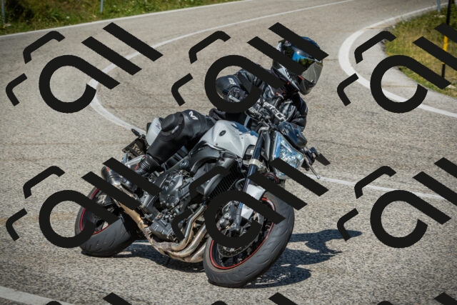 202507271039-DSC09066_c1_