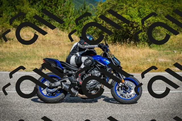 202507271041-DSC09094_c1_