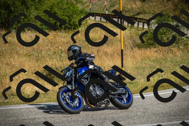 202507271043-DSC09119_c1_