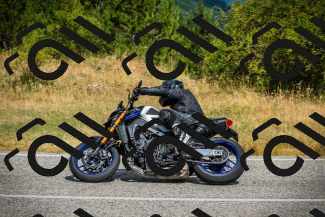 202507271046-DSC09210_c1_