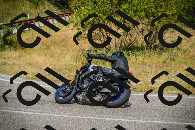 202507271046-DSC09211_c1_