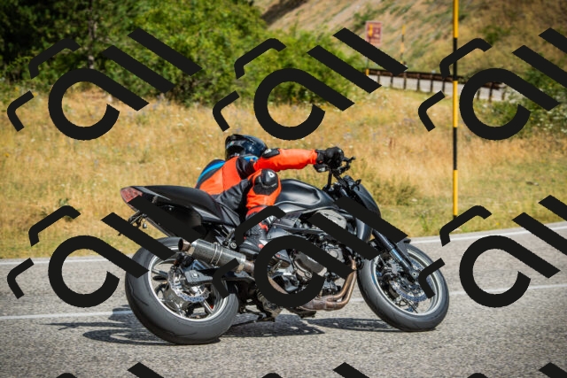 202507271047-DSC09219_c1_