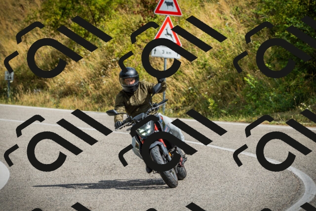 202507271047-DSC09226_c1_