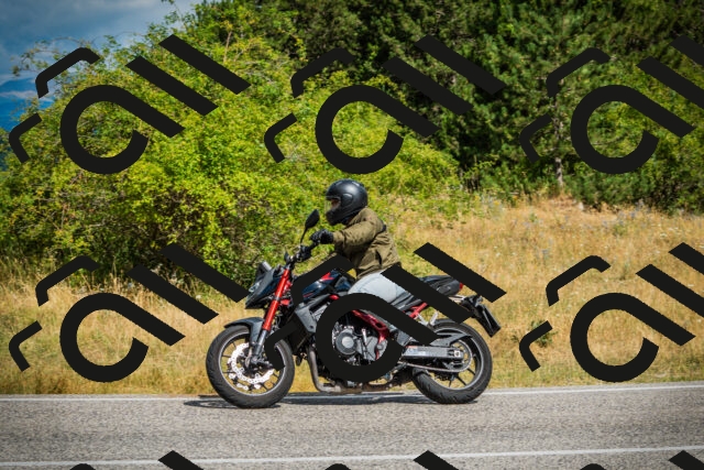 202507271047-DSC09228_c1_