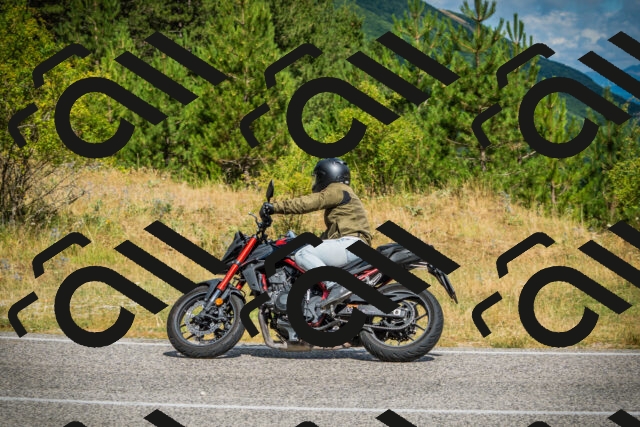 202507271047-DSC09229_c1_