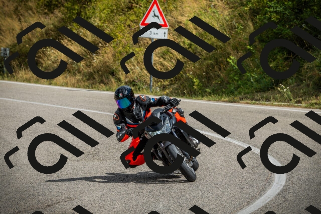 202507271048-DSC09235_c1_