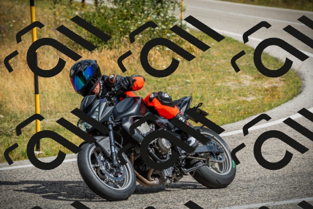 202507271048-DSC09237_c1_