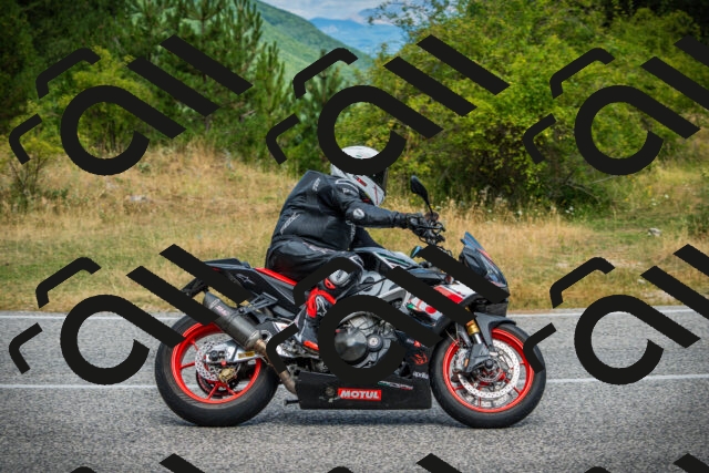 202507271052-DSC09291_c1_