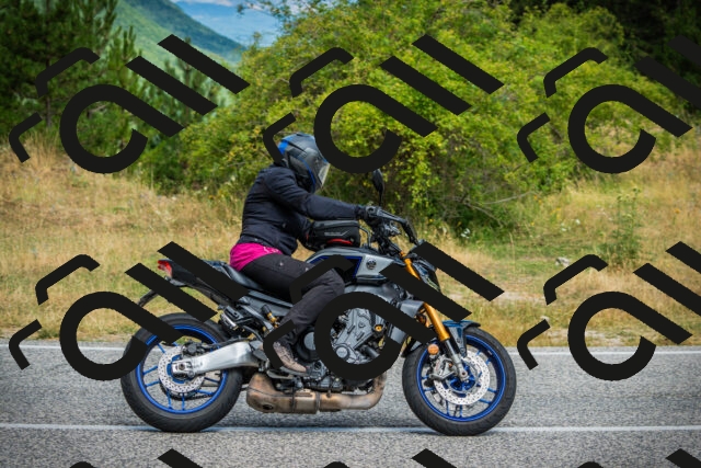 202507271052-DSC09311_c1_