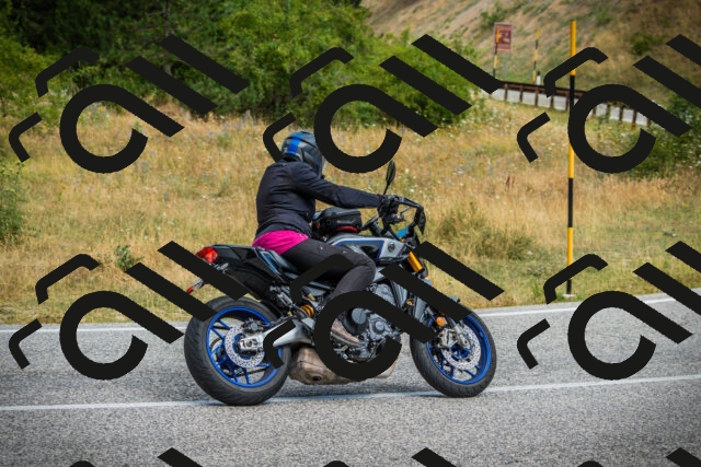 202507271052-DSC09312_c1_