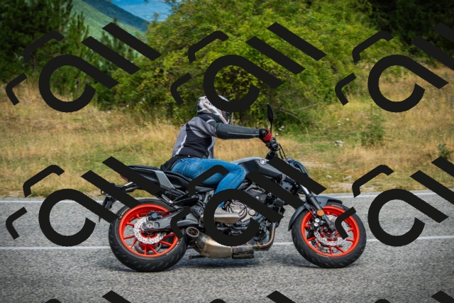 202507271053-DSC09331_c1_