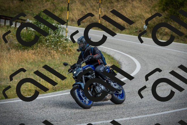 202507271053-DSC09359_c1_