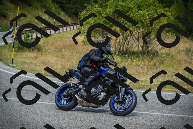 202507271055-DSC09384_c1_